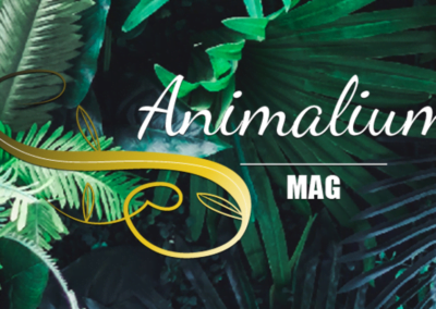 Animalium Mag